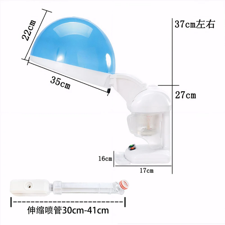 2 in 1 UV Ozone Hair & Facial Steamer