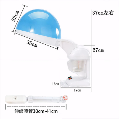 2 in 1 UV Ozone Hair & Facial Steamer